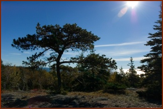 Copyright ©2007, Troy B. Thompson