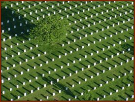 Aerial View — public domain photo courtesty of Arlington National Cemetery