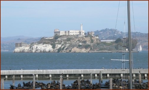 Seals and Alcatraz — © 2008 America In Context