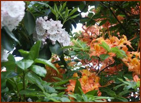 Courtesy of National Park Service