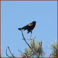 Red Wing — © 2008 America In Context