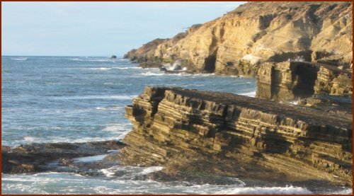 Cabrillo Tidal Pool courtesy of Wikipedia