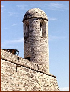 Public domain photo courtesy of the University of South Florida