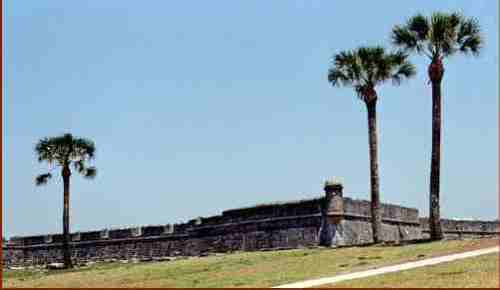 Public Domain Photo, University of South Florida