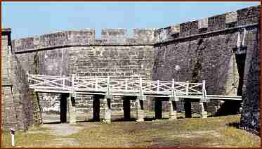 Public domain photo courtesy of the University of South Florida