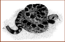 (c) 2007 Roger Hall www.inkart.net