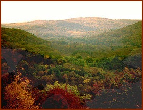 Public domain photo courtesy National Park Service