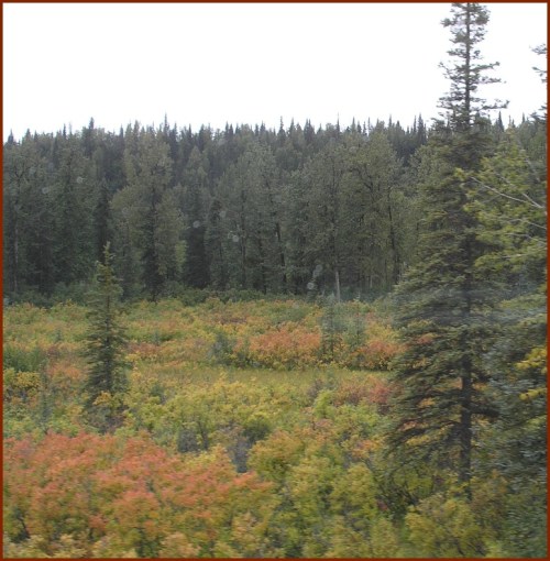 Trackside Colors © 2009 America In Context